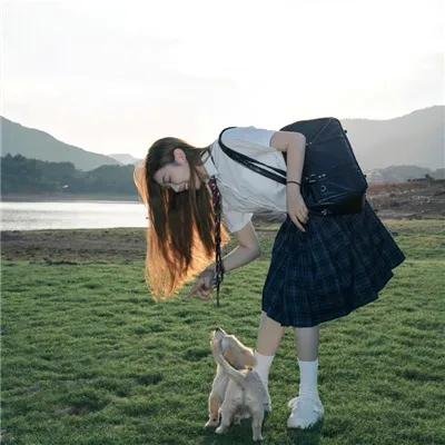 兰闺飞凤